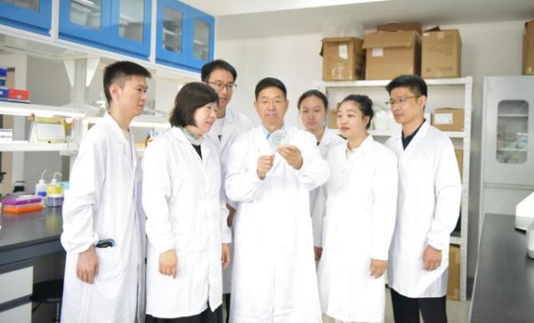 天天配资网 这一世纪难题，被我国科学家成功破解！