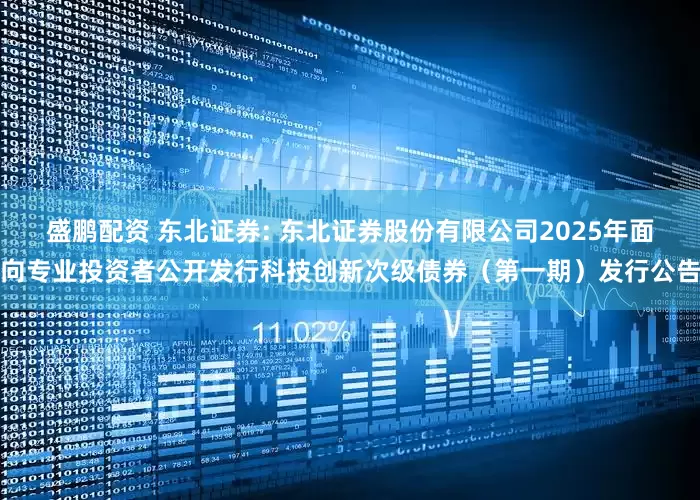 盛鹏配资 东北证券: 东北证券股份有限公司2025年面向专业投资者公开发行科技创新次级债券（第一期）发行公告