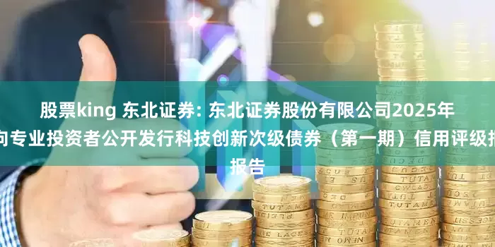股票king 东北证券: 东北证券股份有限公司2025年面向专业投资者公开发行科技创新次级债券（第一期）信用评级报告