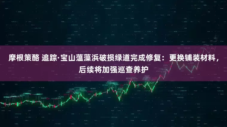 摩根策酪 追踪·宝山蕰藻浜破损绿道完成修复：更换铺装材料，后续将加强巡查养护